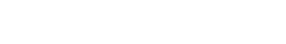 Domain Dzine
